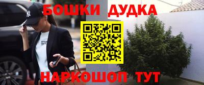гидра Абакан
