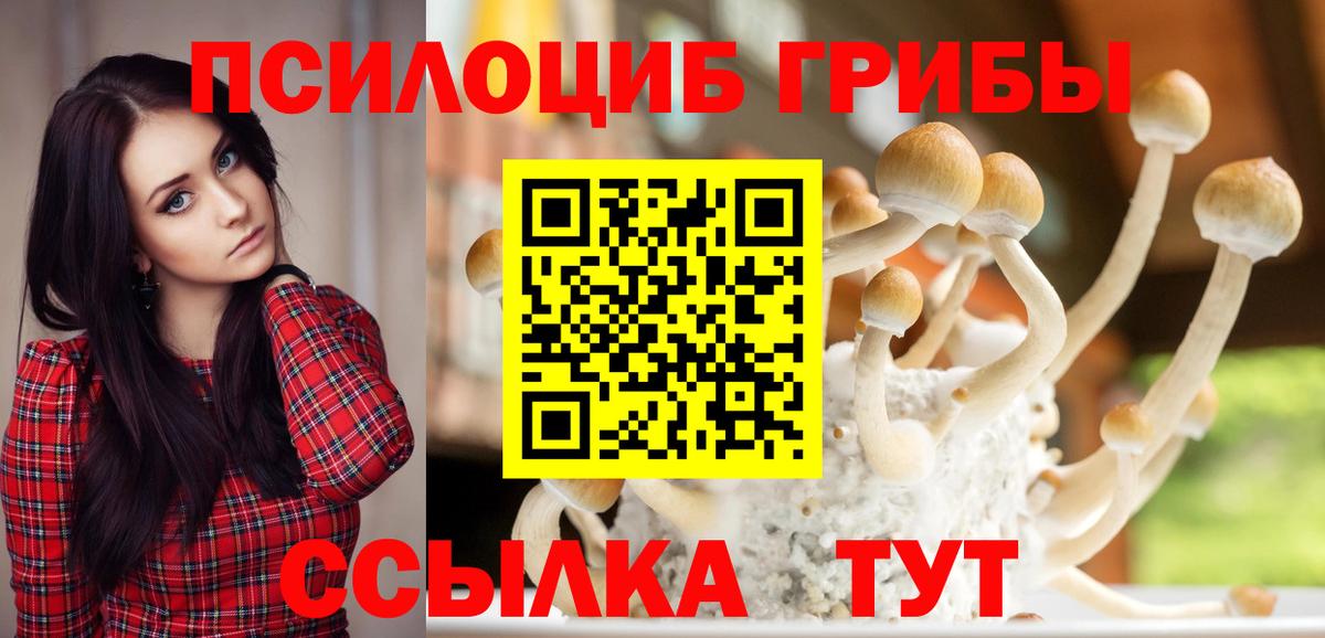Галлюциногенные грибы Psilocybe Ангарск